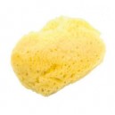 dBb Remond - 302000 - Sachet de 2 Eponges - Venise (Remond)