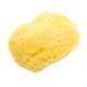 dBb Remond - 302000 - Sachet de 2 Eponges - Venise (Remond)