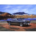 Revell - 7242 - Maquette de Voiture - Shelby Mustang GT 350 H