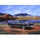 Revell - 7242 - Maquette de Voiture - Shelby Mustang GT 350 H