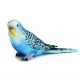 Schleich - 14409 - Figurine - Animaux - Perruche Bleue