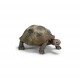 Schleich - 14601 - Figurine - Animaux - Tortue Géante