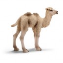 Schleich - 14602 - Figurine - Animaux - Bébé Chameau