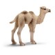 Schleich - 14602 - Figurine - Animaux - Bébé Chameau