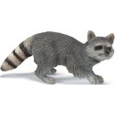 Schleich - 14604 - Figurine - Animaux - Raton Laveur