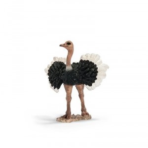 Schleich - 14610 - Figurine - Animaux - Autruche Mâle