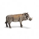 Schleich - 14611 - Figurine - Animaux - Phacochère Mâle