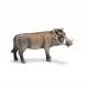 Schleich - 14611 - Figurine - Animaux - Phacochère Mâle