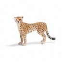 Schleich - 14614 - Figurine - Animaux - Guépard Femelle