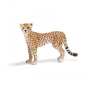 Schleich - 14614 - Figurine - Animaux - Guépard Femelle