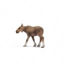 Schleich - 14620 - Figurine - Animaux - Élan Femelle