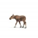 Schleich - 14620 - Figurine - Animaux - Élan Femelle
