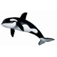 Schleich - 16071 - Figurine - Animaux - Orque