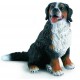 Schleich - 16316 - Figurine - Animaux - Bernois