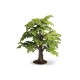 Schleich - 30658 - Figurine - Figurine Collection - Hêtre (Schleich)