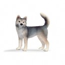 Schleich - Husky femelle