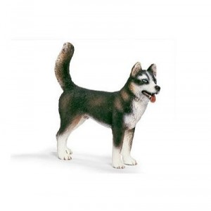 Schleich - Husky mâle