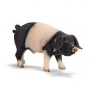 verrat souabe (Schleich)