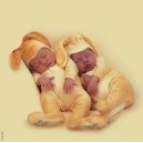 Schmidt Spiele Schmidt - 57978 - Puzzles - Puzzle Carré, Les Lapinous - 1000 Pièces