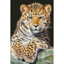 Schmidt Spiele Schmidt - 58009 - Puzzles - Petit Léopard - 500 Pièces