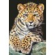 Schmidt Spiele Schmidt - 58009 - Puzzles - Petit Léopard - 500 Pièces