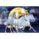 Schmidt Spiele Schmidt - 58020 - Puzzle - 500 Pièces - Apassionata