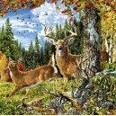 Schmidt Spiele Schmidt - 58116 - Puzzles - Dans Clairière - 1000 Pièces