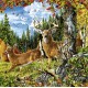 Schmidt Spiele Schmidt - 58116 - Puzzles - Dans Clairière - 1000 Pièces