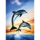 Schmidt Spiele Schmidt - 58132 - Puzzle - 500 Pièces - Dauphins