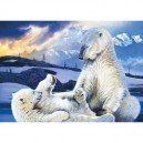 Schmidt Spiele Schmidt - 58133 - Puzzle - 500 Pièces - Ours Polaires