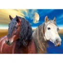 Schmidt Spiele Schmidt - 58137 - Puzzle - 1000 Pièces - Apassionata