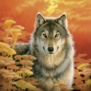 Schmidt Spiele Schmidt - 58506 - Puzzles - Coucher Soleil - 1000 Pièces