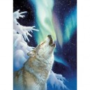 Schmidt Spiele Schmidt - 58509 - Puzzle - Appel dans la Nuit - 1000 Pièces
