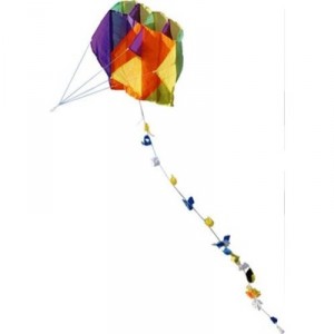 Vilac - 2937 - Plein Air - Cerf volant de poche