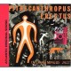 WEA Pithecanthropus Erectus