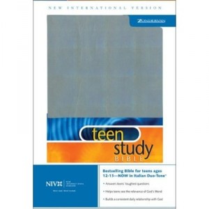 Zondervan Niv Teen Study Bible