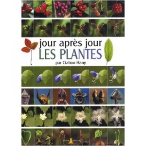 Jour Apres Jour , Les Plantes - Ciabou Hany
