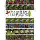 Jour Apres Jour , Les Plantes - Ciabou Hany