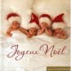 Joyeux Noel - Anne Geddes