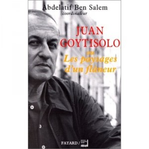 Juan Goytisolo Oules Landscapes From Flaneur - Ben Salem