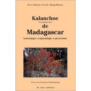 Kalanchoe De Madagascar - Boiteau