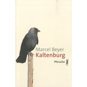 Kaltenburg - Marcel Beyer