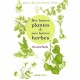 Mes Bonnes Plantes Et Mes Bonnes Herbes - Pierrette Nardo