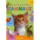 Mes Plus Belles Photos D'animaux - Znu