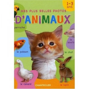 My favorite photos of animals - ZNU